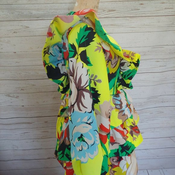 ♥️SOLD♥️Christopher John Rogers Target Size 10 - Picture 8 of 12